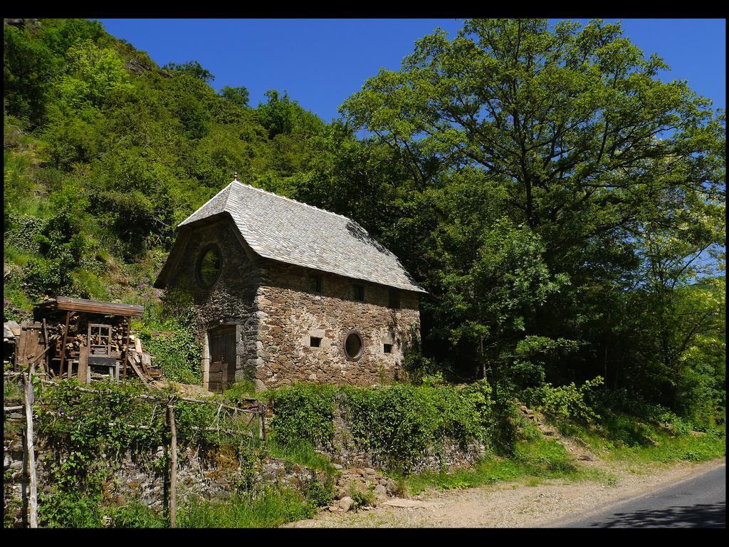 Bed and Breakfast Malrieu Le Fel Номер фото